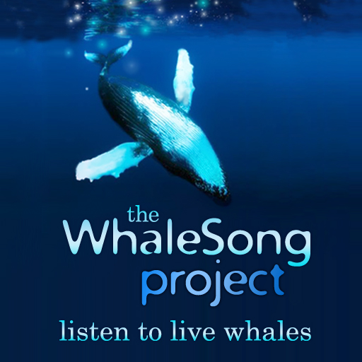 Whale Song Project app icon